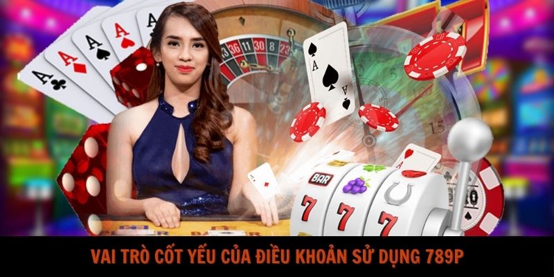 Vai trò cốt yếu của điều khoản sử dụng 789P