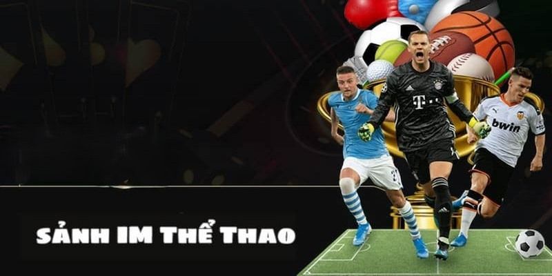 thể thao im sports